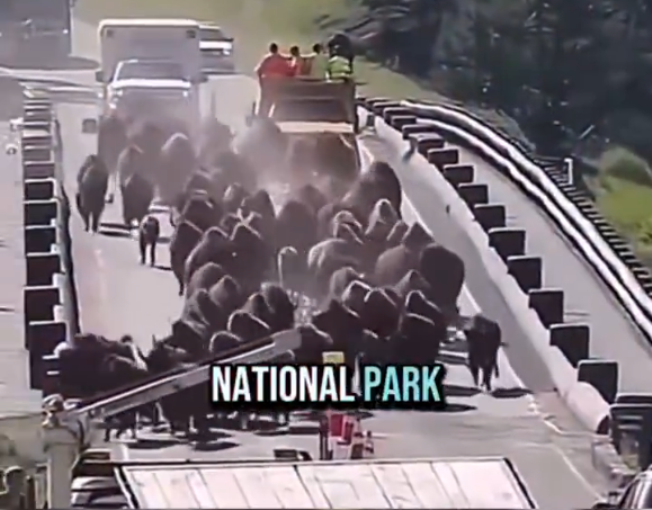Πλησιάζει η ώρα του Yellowstone;